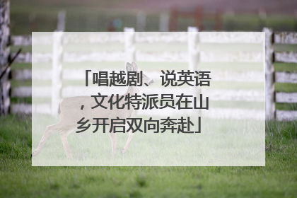 唱越剧、说英语，文化特派员在山乡开启双向奔赴