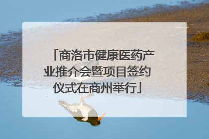商洛市健康医药产业推介会暨项目签约仪式在商州举行