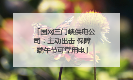 国网三门峡供电公司：主动出击 保障端午节可靠用电