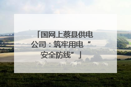国网上蔡县供电公司：筑牢用电“安全防线”