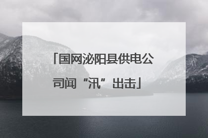 国网泌阳县供电公司闻“汛”出击