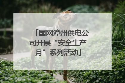 国网漳州供电公司开展“安全生产月”系列活动