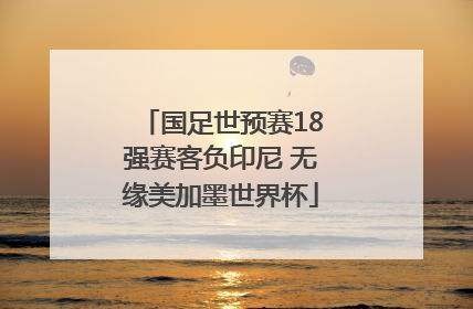 国足世预赛18强赛客负印尼 无缘美加墨世界杯