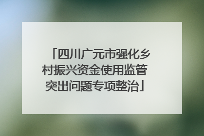 四川广元市强化乡村振兴资金使用监管突出问题专项整治