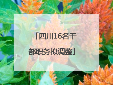四川16名干部职务拟调整