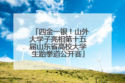 四金一银！山外大学子亮相第十五届山东省高校大学生跆拳道公开赛