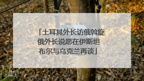 土耳其外长访俄斡旋 俄外长说愿在伊斯坦布尔与乌克兰再谈