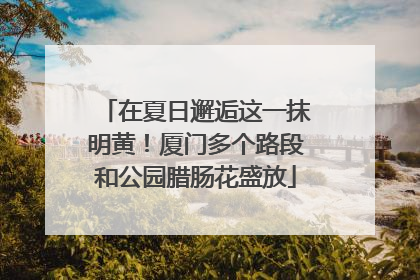 在夏日邂逅这一抹明黄！厦门多个路段和公园腊肠花盛放
