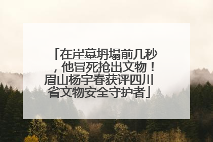 在崖墓坍塌前几秒，他冒死抢出文物！眉山杨宇春获评四川省文物安全守护者