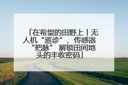 在希望的田野上丨无人机“巡诊”、传感器“把脉” 解锁田间地头的丰收密码