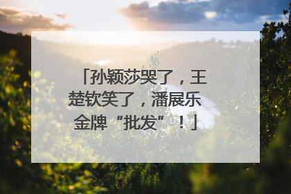 孙颖莎哭了，王楚钦笑了，潘展乐金牌“批发”！