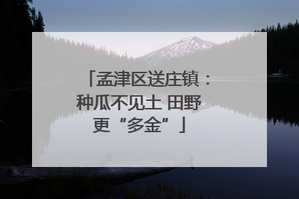 孟津区送庄镇：种瓜不见土 田野更“多金”