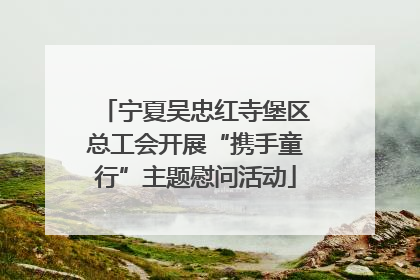 宁夏吴忠红寺堡区总工会开展“携手童行”主题慰问活动