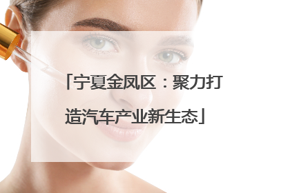 宁夏金凤区：聚力打造汽车产业新生态