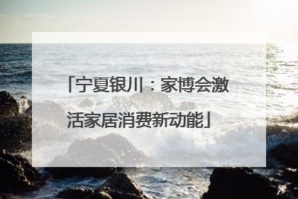宁夏银川：家博会激活家居消费新动能