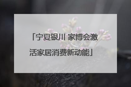 宁夏银川 家博会激活家居消费新动能