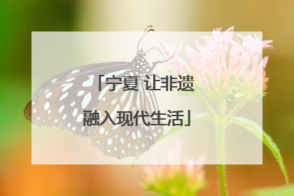 宁夏 让非遗融入现代生活