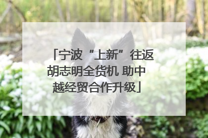 宁波“上新”往返胡志明全货机 助中越经贸合作升级