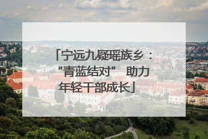 宁远九疑瑶族乡：“青蓝结对” 助力年轻干部成长