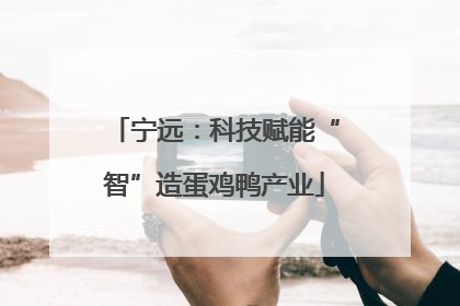 宁远：科技赋能“智”造蛋鸡鸭产业