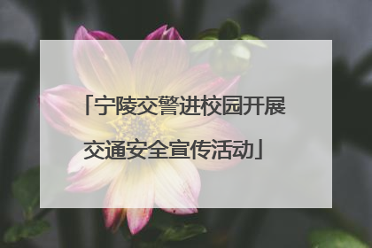 宁陵交警进校园开展交通安全宣传活动