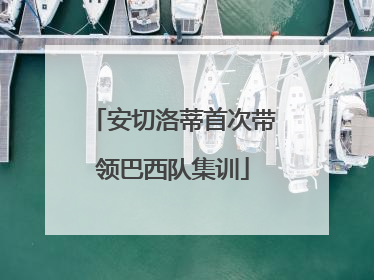 安切洛蒂首次带领巴西队集训