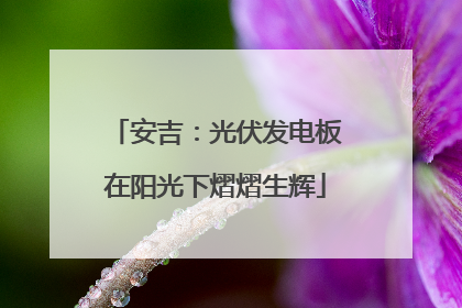 安吉：光伏发电板在阳光下熠熠生辉