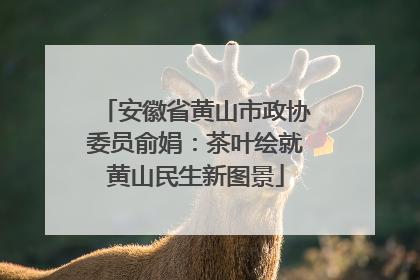 安徽省黄山市政协委员俞娟：茶叶绘就黄山民生新图景