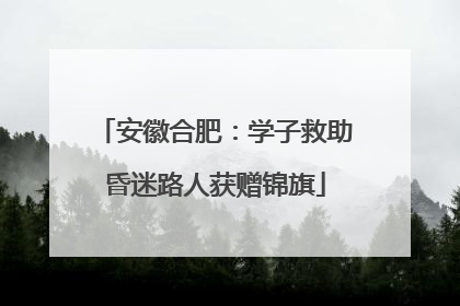 安徽合肥：学子救助昏迷路人获赠锦旗