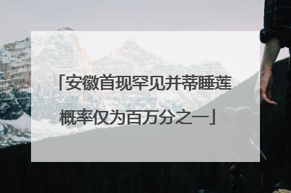 安徽首现罕见并蒂睡莲 概率仅为百万分之一