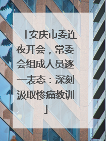 安庆市委连夜开会，常委会组成人员逐一表态：深刻汲取惨痛教训
