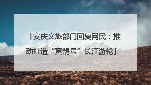 安庆文旅部门回复网民：推动打造“黄鹄号”长江游轮