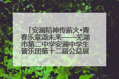 安澜精神传薪火•青春乐章颂未来——芜湖市第二中学安澜中学生管乐团第十二届公益展演圆满举行