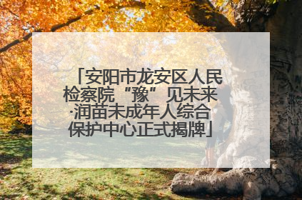 安阳市龙安区人民检察院“豫”见未来·润苗未成年人综合保护中心正式揭牌
