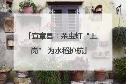 宜章县：杀虫灯“上岗” 为水稻护航