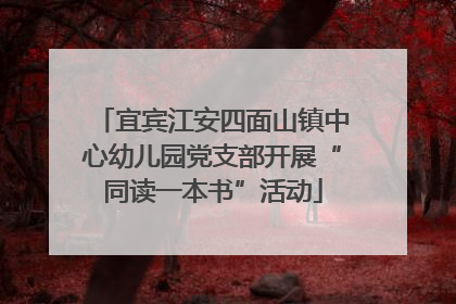 宜宾江安四面山镇中心幼儿园党支部开展“同读一本书”活动