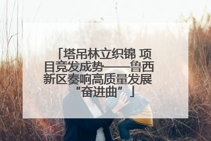 塔吊林立织锦 项目竞发成势——鲁西新区奏响高质量发展“奋进曲”