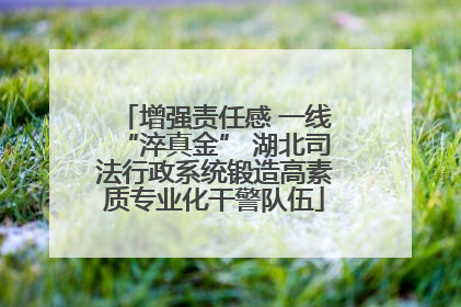增强责任感 一线“淬真金” 湖北司法行政系统锻造高素质专业化干警队伍