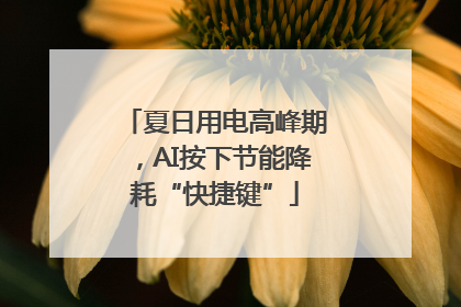 夏日用电高峰期，AI按下节能降耗“快捷键”