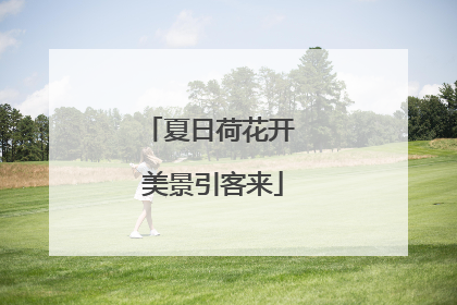 夏日荷花开 美景引客来