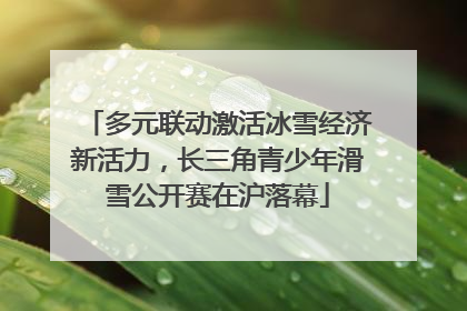 多元联动激活冰雪经济新活力，长三角青少年滑雪公开赛在沪落幕