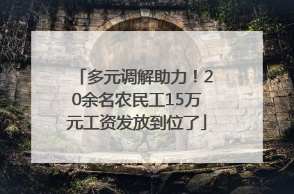 多元调解助力！20余名农民工15万元工资发放到位了