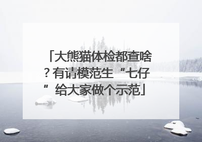 大熊猫体检都查啥？有请模范生“七仔”给大家做个示范