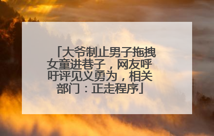 大爷制止男子拖拽女童进巷子，网友呼吁评见义勇为，相关部门：正走程序