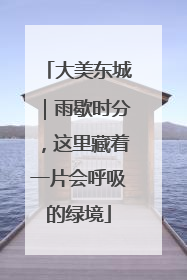 大美东城｜雨歇时分，这里藏着一片会呼吸的绿境