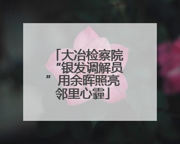 大冶检察院“银发调解员”用余晖照亮邻里心霾
