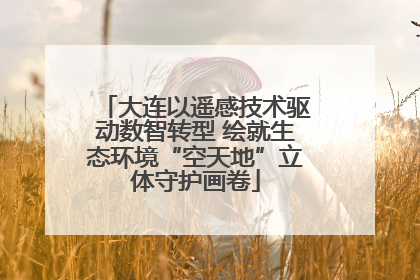 大连以遥感技术驱动数智转型 绘就生态环境“空天地”立体守护画卷
