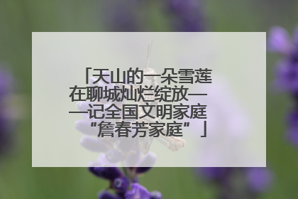 天山的一朵雪莲在聊城灿烂绽放——记全国文明家庭“詹春芳家庭”