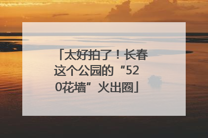 太好拍了！长春这个公园的“520花墙”火出圈