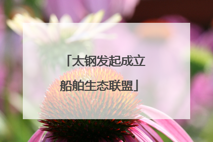 太钢发起成立船舶生态联盟